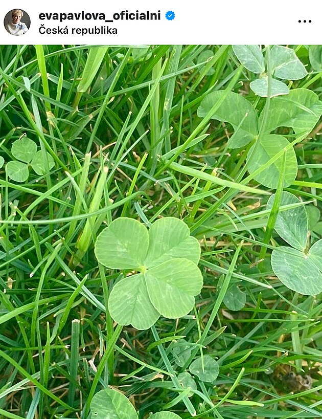 Z Instagramu Evy Pavlové, krýsný čtyřlístek.
