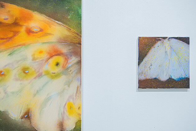 Kateřina Ondrušková: Fialová voní nejvíc.