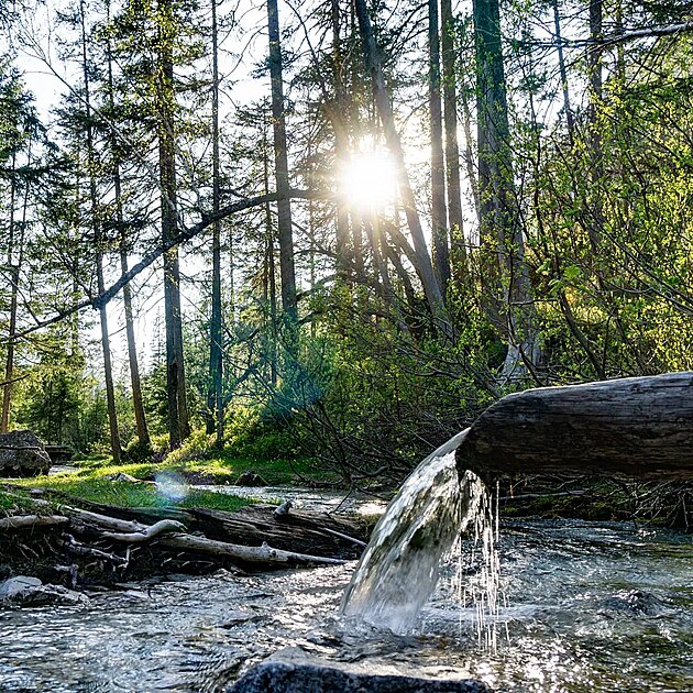 ČAS NA PŘÍRODU, PO-HODU A NOVÉ ÚHLY POHLEDU.