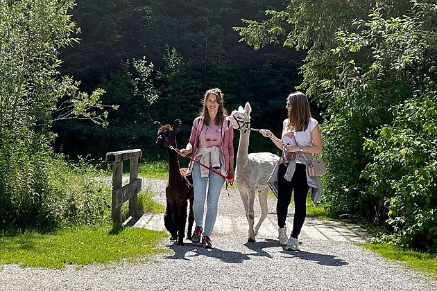 ČAS NA PŘÍRODU, PO-HODU A NOVÉ ÚHLY POHLEDU.