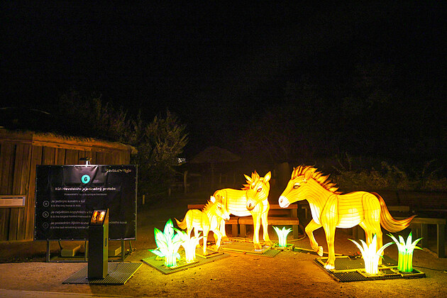 Popusťte uzdu fantazii - vyrazte do Divoké Asie!