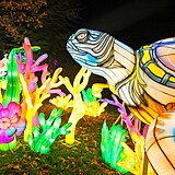 Popusťte uzdu fantazii - vyrazte do Divoké Asie!