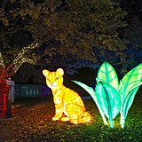 Popusťte uzdu fantazii - vyrazte do Divoké Asie!