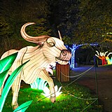 Popusťte uzdu fantazii - vyrazte do Divoké Asie!