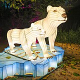 Popusťte uzdu fantazii - vyrazte do Divoké Asie!