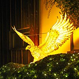 Popusťte uzdu fantazii - vyrazte do Divoké Asie!