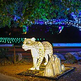 Popusťte uzdu fantazii - vyrazte do Divoké Asie!