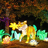 Popusťte uzdu fantazii - vyrazte do Divoké Asie!