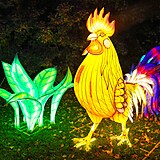 Popusťte uzdu fantazii - vyrazte do Divoké Asie!