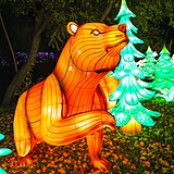 Popusťte uzdu fantazii - vyrazte do Divoké Asie!