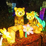 Popusťte uzdu fantazii - vyrazte do Divoké Asie!