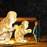 Popusťte uzdu fantazii - vyrazte do Divoké Asie!