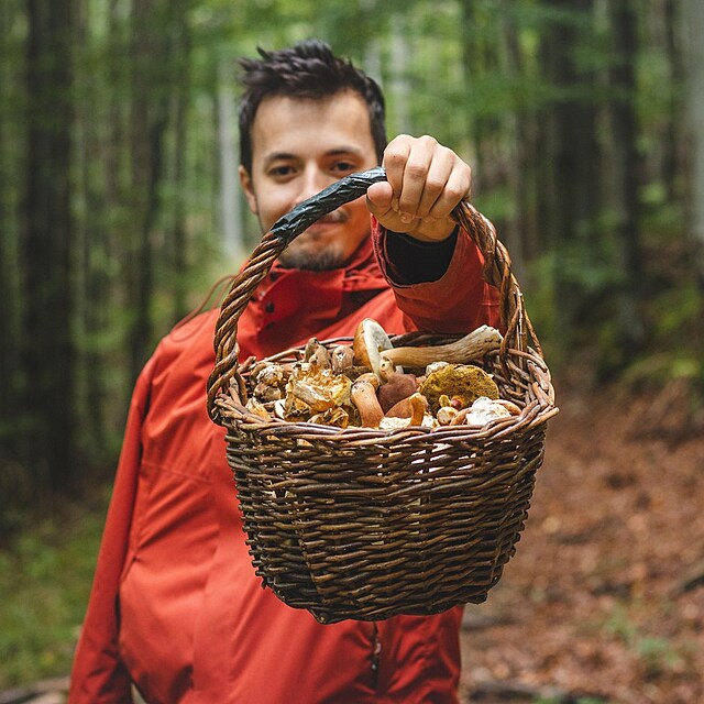 Houby, muž s košíkem