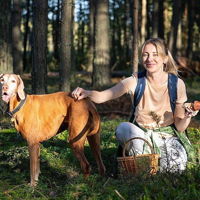 Houby, žena se psem a košíkem v lese