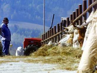 etí zemdlci by mohli uetit dohromady asi 1,7 miliardy korun. Ilustraní foto.