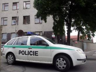 Podle svdk policejní auto ped pechodem tém nebrzdilo. Ilustraní foto.