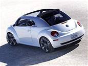 VW New Beetle Ragster