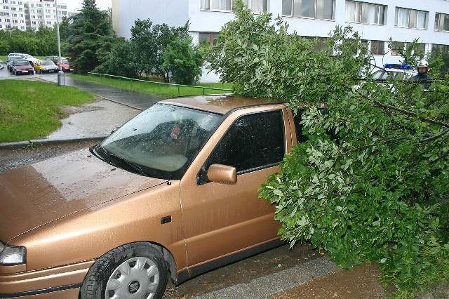 Strom spadl pi bouce na auto