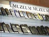 Muzeum mobil