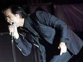 Nick Cave