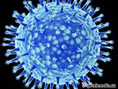Poítaové i ivé viry zneuívají hostitele