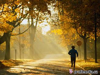 Podzim, park, slunce, bh, jogging