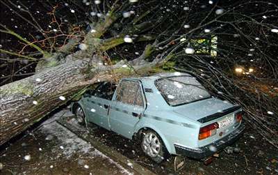 Sníh - Strom spadl na auto