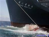 Proti japonským velrybám nejvíce bojují aktivisté Greenpeace. Ilustraní foto.