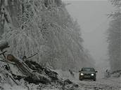 Auto, sníh, kalamita, stromy, cesta.