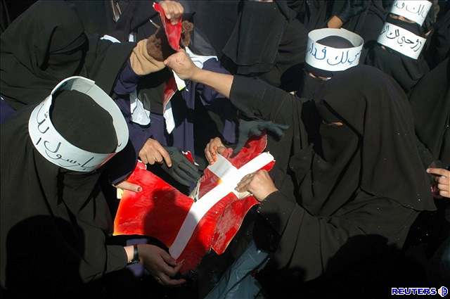 Pálení dánských vlajek je v poslední dob oblíbenou kratochvílí nejen Palestinc.