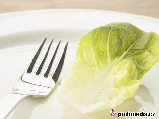 Jídlo, dieta hubnutí - ilustraní foto