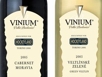 Vinium Hockeyland