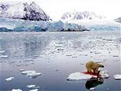 Lední medvd hodujícího v oceánu u souostroví picberky