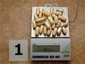 Paerák zatím vylouil z útrob 285 gram kokainu v prezervativech.