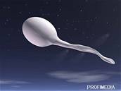 Olovo pokozuje tvorbu spermií.  Ilustraní foto.