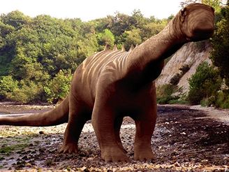 Mezi sauropody patil napíklad diplodocus i brontosaurus. Ilustraní foto.
