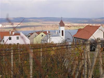 eských vinic by se omezení píli dotknout nemlo.