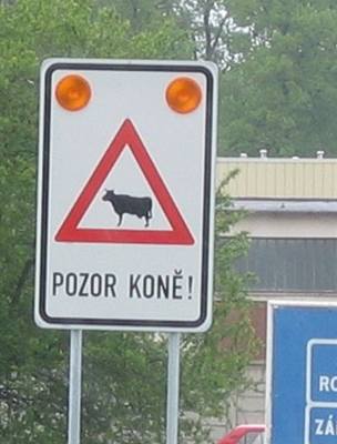 Pozor kon!?