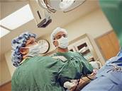 Lékai v esku umí transplantovat est orgán