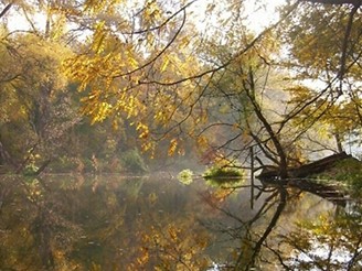 Zmeck Dyje v Lednici