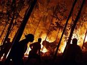 Ve panlsku bojují s poáry lesa. Ilustraní foto.