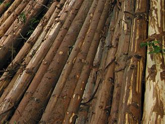 esku hrozí dalí arbitrá, tentokrát kvli lesnickým zakázkám. Pokud stát nezaplatí firm CE Wood 2,5 miliardy korun, poene R k soudu.