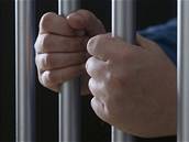 Dvoák si trest odsedí ve vzení se zvýenou ostrahou. Ilustraní foto
