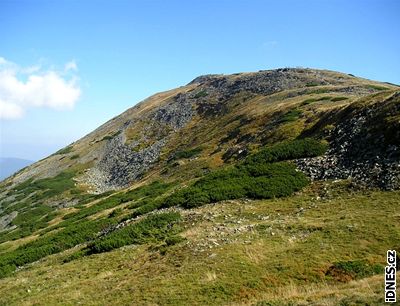 Vrcholek Babí hory pokrývají alpínské louky a suoviska