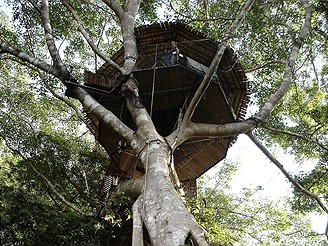 V pralese v Laosu