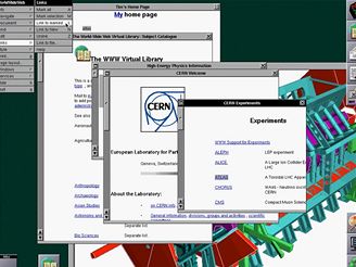 Webov prohle 1993 - WorldWideWeb