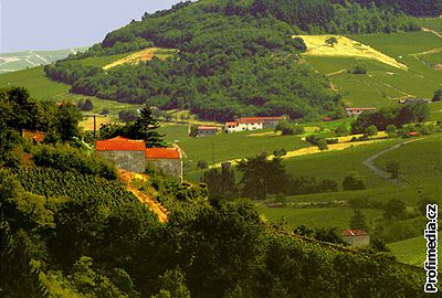 Francie, kraj Beaujolais