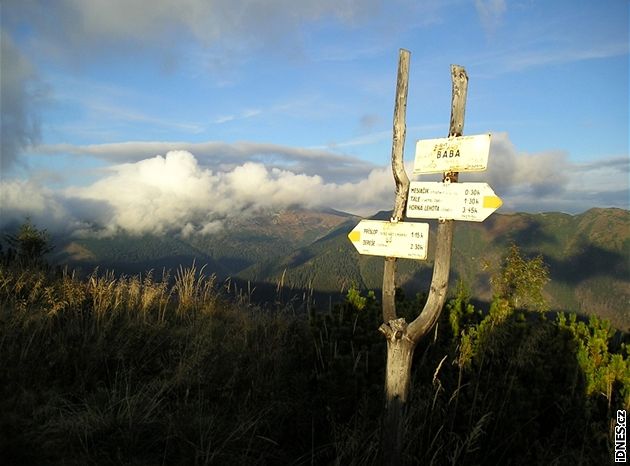 Na vrcholu Baby (1617 m) nad Vajskovskou dolinou