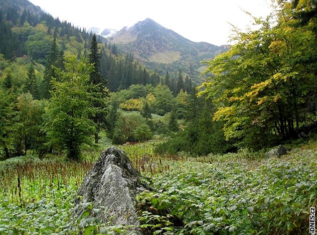 Nízké Tatry