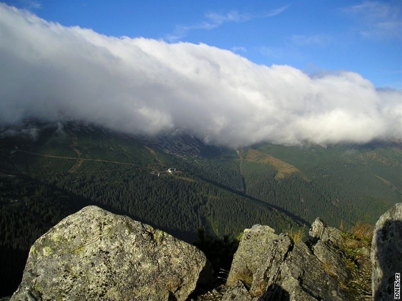 Chopok z Pálenice (1654 m) nad Vajskovskou dolinou - Chopok z Pálenice (1654 m)...